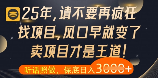 什么？25年你还在疯狂找项目做，醒醒吧，看完这些你全都懂了【揭秘】-轻创副业圈