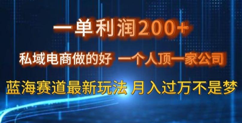 一单利润200私域电商做的好，一个人顶一家公司蓝海赛道最新玩法【揭秘】-轻创副业圈