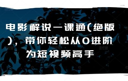 电影解说一课通(绝版)，带你轻松从0进阶为短视频高手-轻创副业圈