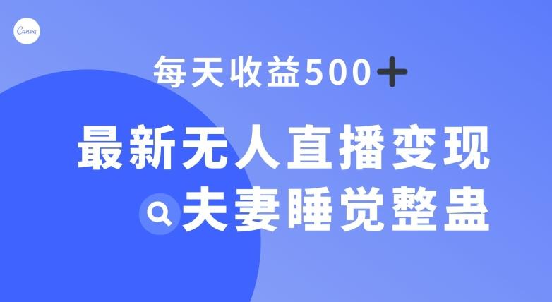 最新无人直播变现，夫妻睡觉整蛊，每天躺赚500+【揭秘】-轻创副业圈