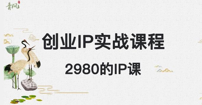 外边卖2980的创业IP课程，做私域月入5w+-轻创副业圈