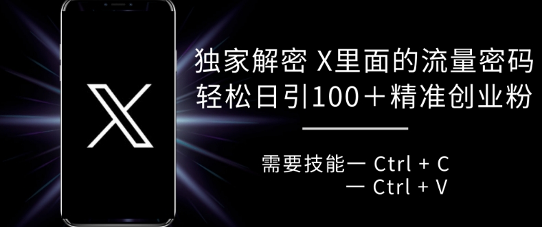 独家解密 X 里面的流量密码，复制粘贴轻松日引100+-轻创副业圈