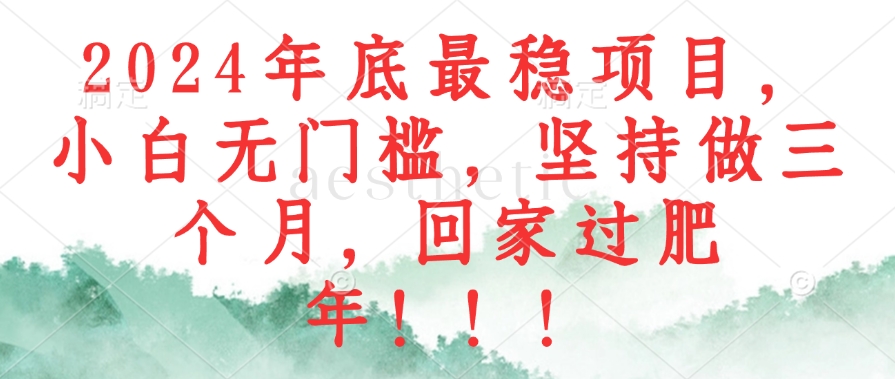 2024年底最稳项目，小白无门槛，坚持做三个月，回家过肥年！！！-轻创副业圈