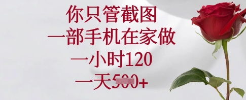 你只管截图，一部手机在家做，一小时120.一天5张【揭秘】-轻创副业圈