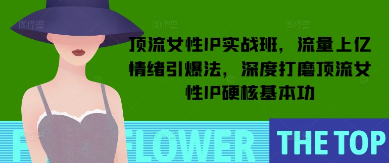 顶流女性IP实战班，流量上亿情绪引爆法，深度打磨顶流女性IP硬核基本功-轻创副业圈