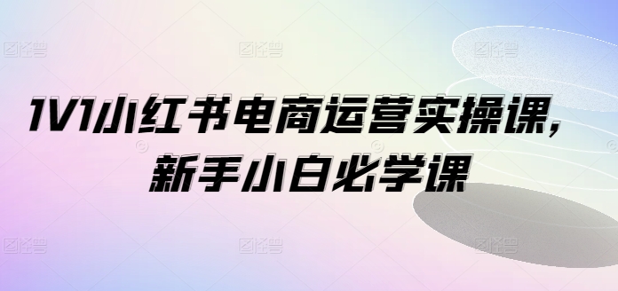 1V1小红书电商运营实操课，新手小白必学课-轻创副业圈