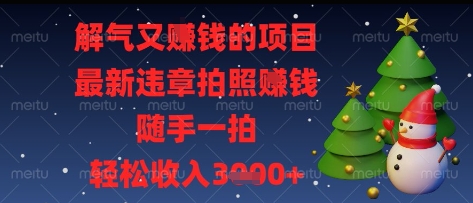 解气又挣钱的项目，最新违章拍照挣钱，随手一拍，轻松收入多张【揭秘】-轻创副业圈