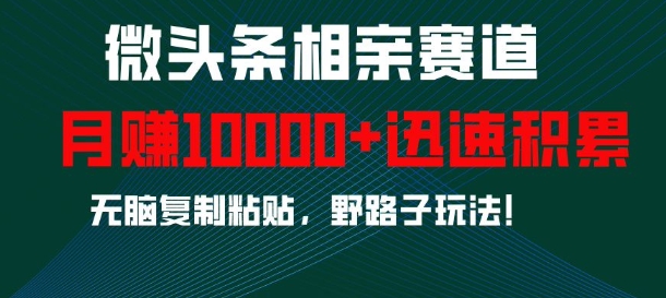 微头条相亲赛道，迅速积累，无脑复制粘贴，野路子玩法，月入1w-轻创副业圈