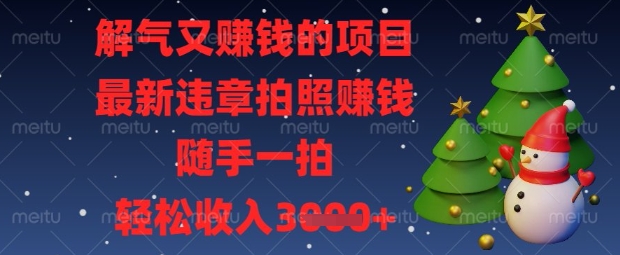 解气又挣钱的项目，最新违章拍照挣钱，随手一拍，轻松收入数张【揭秘】-轻创副业圈