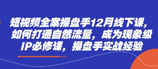 短视频全案操盘手12月线下课，如何打通自然流量，成为现象级IP必修课，操盘手实战经验-轻创副业圈