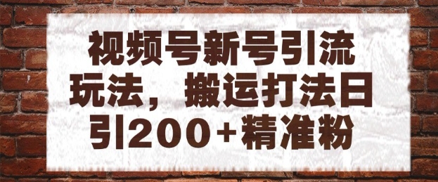 视频号新号引流玩法，搬运打法日引200+精准粉，可矩阵放大【揭秘】-轻创副业圈