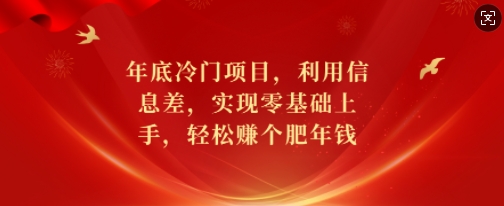 年底冷门项目，利用信息差，实现零基础上手，轻松赚个肥年钱【揭秘】-轻创副业圈