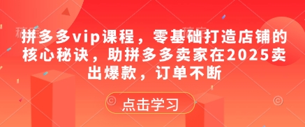 拼多多vip课程，零基础打造店铺的核心秘诀，助拼多多卖家在2025卖出爆款，订单不断-轻创副业圈