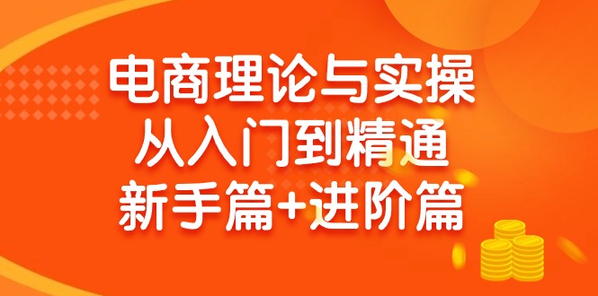 (9576期)电商理论与实操从入门到精通 新手篇+进阶篇-轻创副业圈