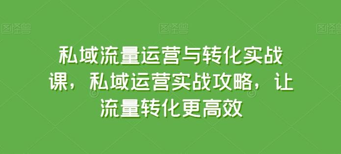 私域流量运营与转化实战课，私域运营实战攻略，让流量转化更高效-轻创副业圈