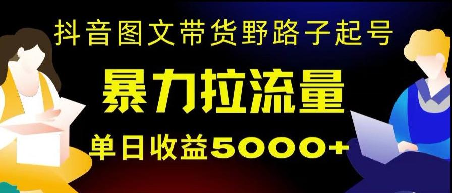 抖音图文带货暴力起号，单日收益5000+，野路子玩法，简单易上手，一部手机即可【揭秘】-轻创副业圈