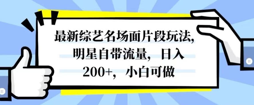 最新综艺名场面片段玩法，明星自带流量，日入200+，小白可做【揭秘】-轻创副业圈