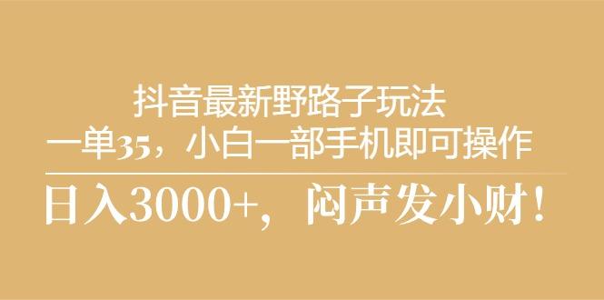 抖音最新野路子玩法，一单35，小白一部手机即可操作，，日入3000+，闷…-轻创副业圈