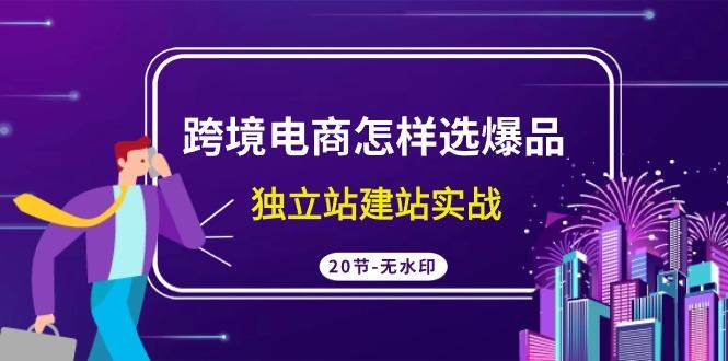 (9369期)跨境电商怎样选爆品，独立站建站实战(20节高清无水印课)-轻创副业圈