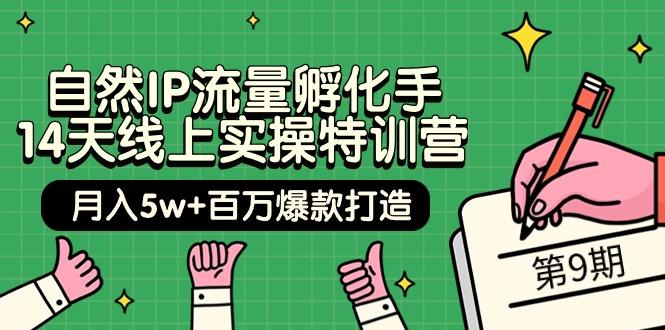 (9881期)自然IP流量孵化手 14天线上实操特训营【第9期】月入5w+百万爆款打造 (74节)-轻创副业圈