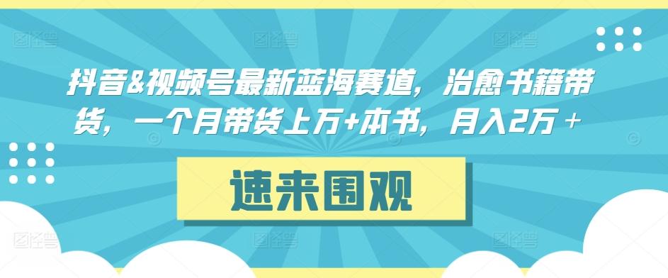 抖音&视频号最新蓝海赛道，治愈书籍带货，一个月带货上万+本书，月入2万＋【揭秘】-轻创副业圈