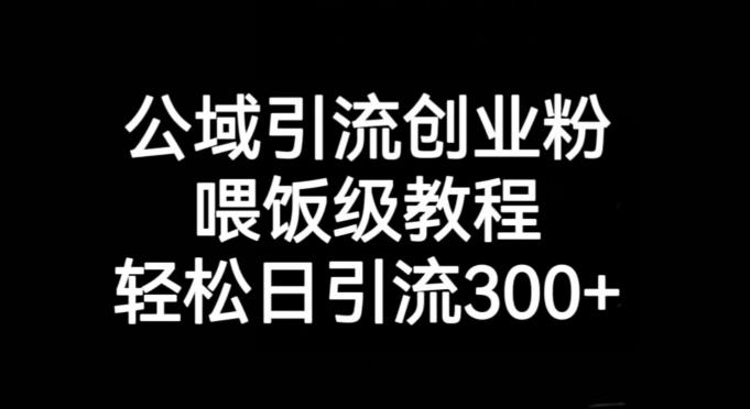 公域引流创业粉，喂饭级教程，轻松日引流300+【揭秘】-轻创副业圈