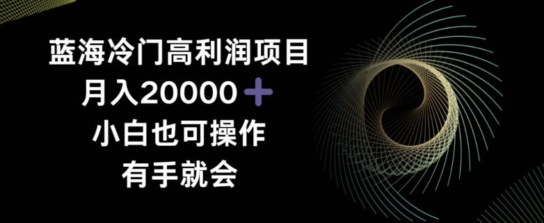 蓝海冷门高利润项目月入2000，小白也可操作有手就会-轻创副业圈