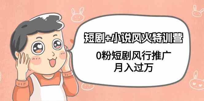 小说+短剧风火特训营，0粉短剧小说风行推广，实现月入过万-轻创副业圈