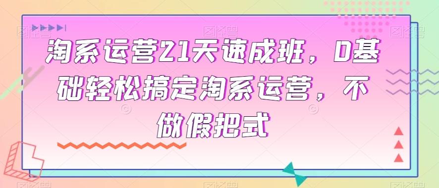 淘系运营21天速成班，0基础轻松搞定淘系运营，不做假把式-轻创副业圈
