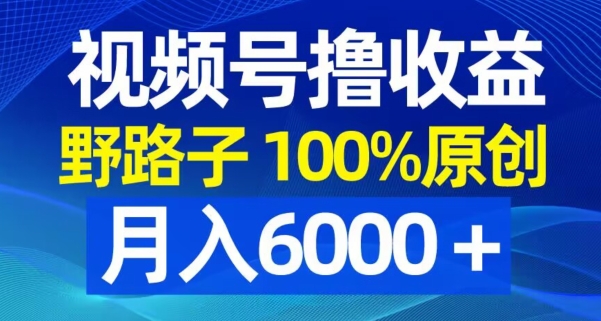 视频号野路子撸收益，100%原创，条条爆款，月入6000＋【揭秘】-轻创副业圈
