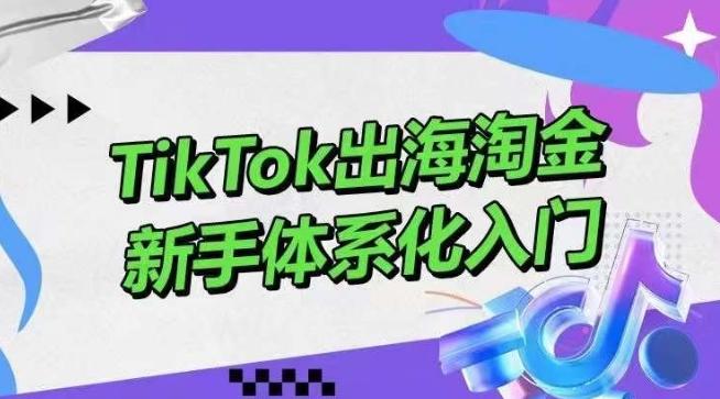 TikTok出海淘金，新手体系化入门，零基础快速入门，掌握短视频、直播带货等引流到变现的知识-轻创副业圈