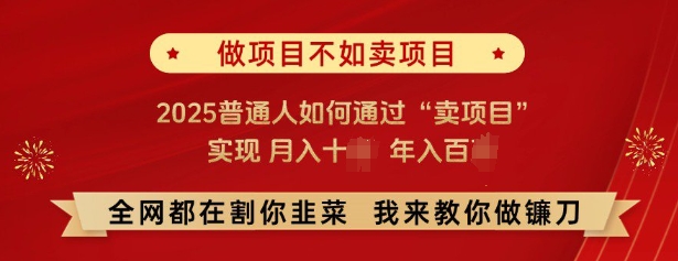 必看，做项目不如卖项目，2025普通人如何通过“卖项目”实现月入十个，年入百个-轻创副业圈