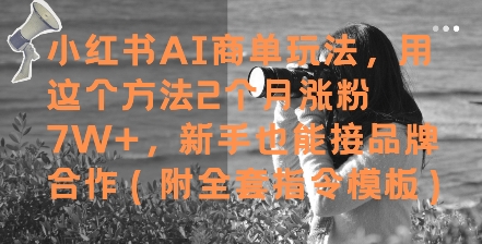 小红书AI商单玩法，用这个方法2个月涨粉7W+，新手也能接品牌合作(附全套指令模板)-轻创副业圈