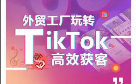 外贸工厂玩转TikTok高效获客，多种引流方式与账号定位技巧，拆解爆款短视频打造成功案例-轻创副业圈