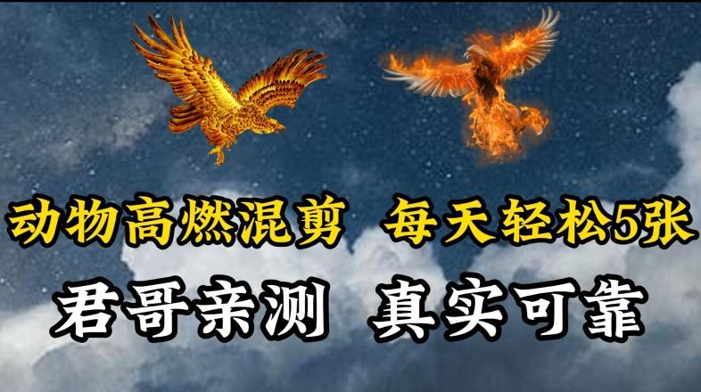 动物超燃混剪，每天轻松5张，剪辑简单大家爱看【揭秘】-轻创副业圈