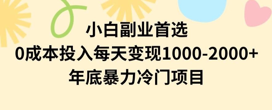 小白副业首选，0成本投入，每天变现1000-2000年底暴力冷门项目【揭秘】-轻创副业圈