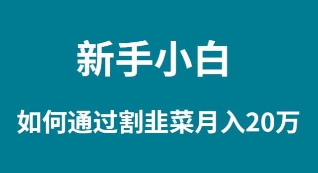 (9308期)新手小白如何通过割韭菜月入 20W-轻创副业圈