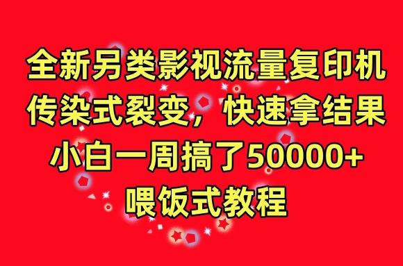 全新另类影视流量复印机，传染式裂变，快速拿结果，小白一周搞了50000+，喂饭式教程【揭秘】-轻创副业圈