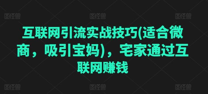 互联网引流实战技巧(适合微商，吸引宝妈)，宅家通过互联网赚钱-轻创副业圈