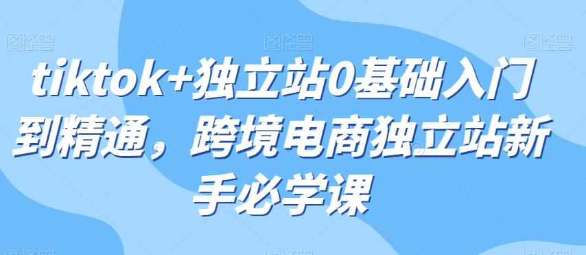 tiktok+独立站0基础入门到精通，跨境电商独立站新手必学课-轻创副业圈