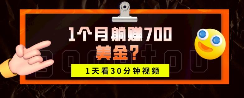 1天看30分钟视频，1个月躺赚700美金？-轻创副业圈