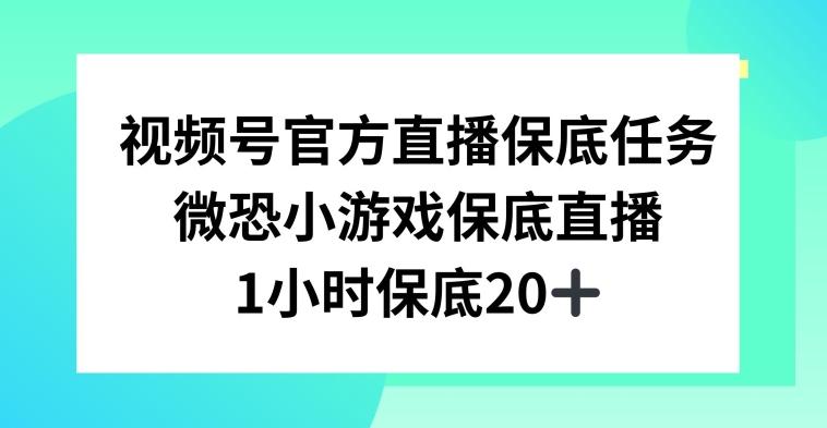 视频号直播任务，微恐小游戏，1小时20+【揭秘】-轻创副业圈