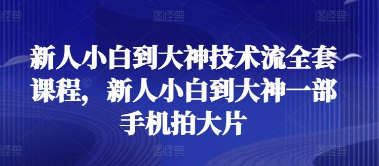 新人小白到大神技术流全套课程，新人小白到大神一部手机拍大片-轻创副业圈