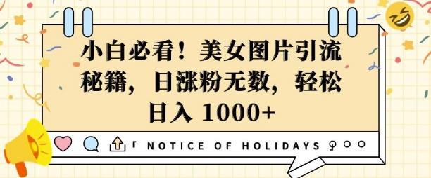 小白必看，美女图片引流秘籍，日涨粉无数，轻松日入几张【揭秘】-轻创副业圈