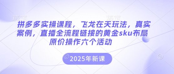 拼多多实操课程，飞龙在天玩法，真实案例，直播全流程链接的黄金sku布局原价操作六个活动-轻创副业圈