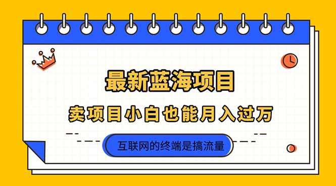 2025年最新蓝海项目，卖项目小白也能月入过万-轻创副业圈