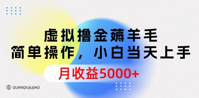 (9864期)虚拟撸金薅羊毛，简单操作，小白当天上手，月收益5000+-轻创副业圈