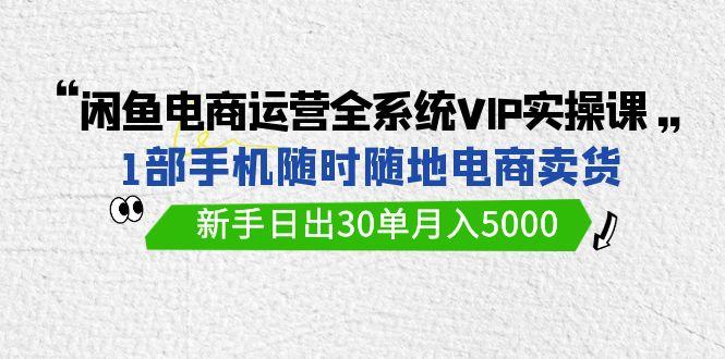 (9547期)闲鱼电商运营全系统VIP实战课，1部手机随时随地卖货，新手日出30单月入5000-轻创副业圈