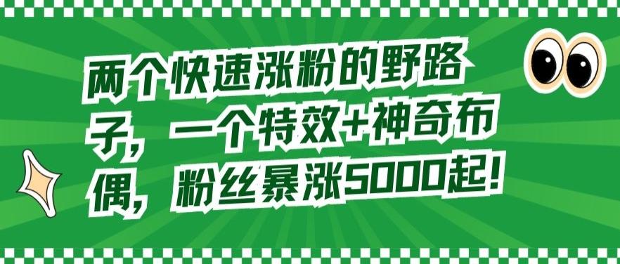 两个快速涨粉的野路子，一个特效+神奇布偶，粉丝暴涨5000起【揭秘】-轻创副业圈