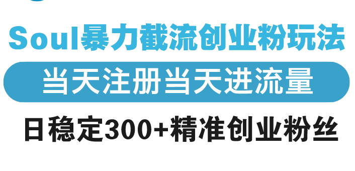 Soul暴力截流创业粉玩法，当天注册当天进流量，日稳定300+精准创业粉丝-轻创副业圈
